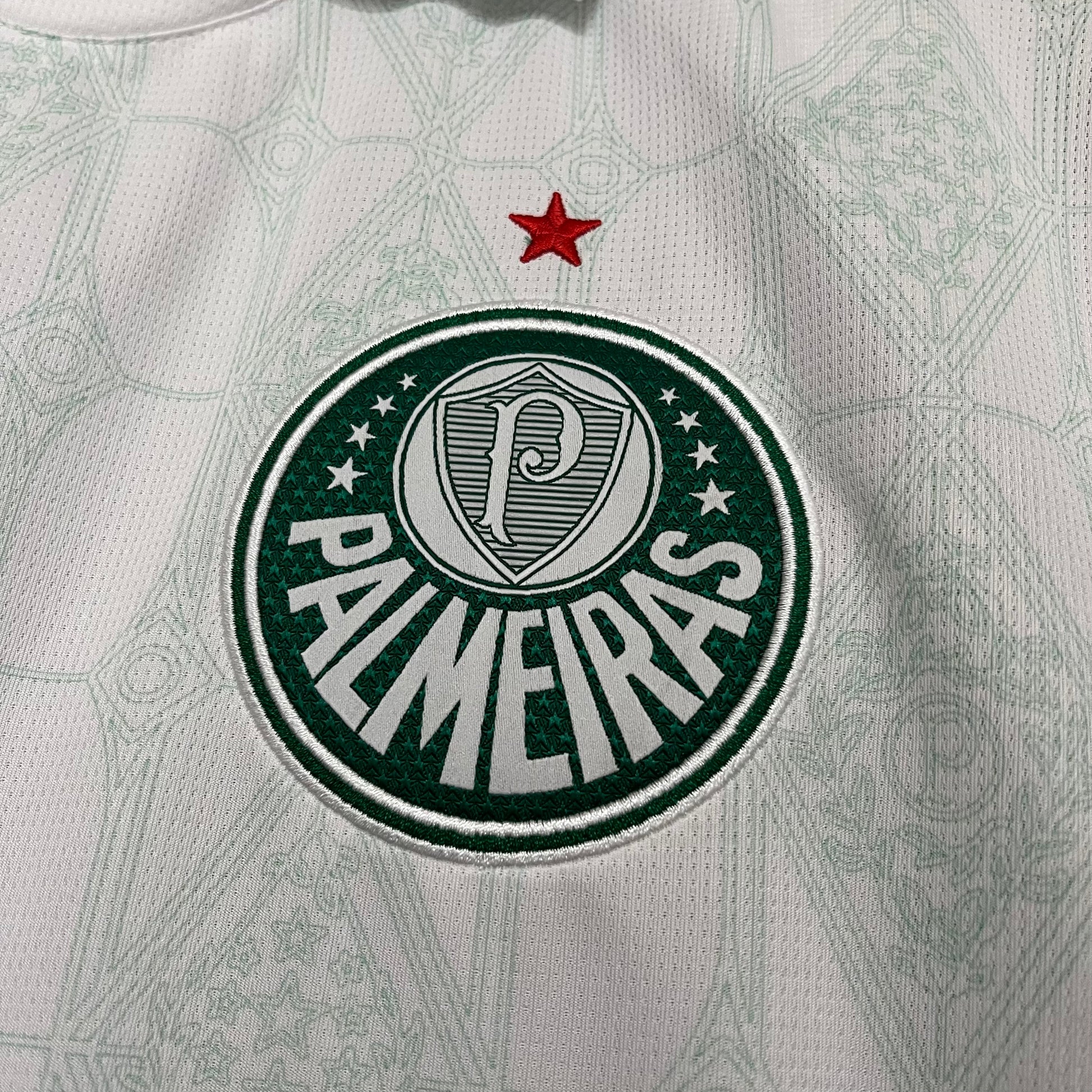 Camisa Palmeiras 25/26