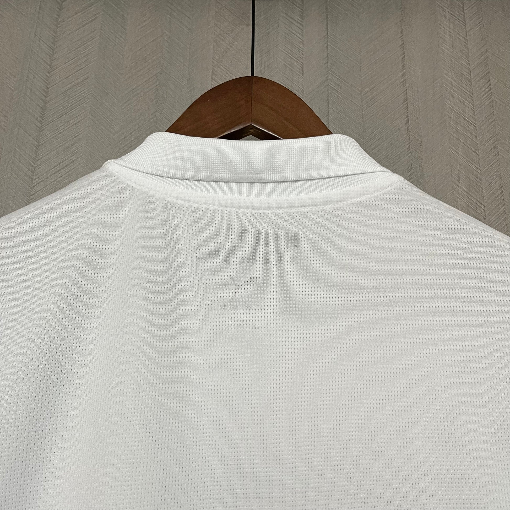 Camisa Palmeiras 25/26