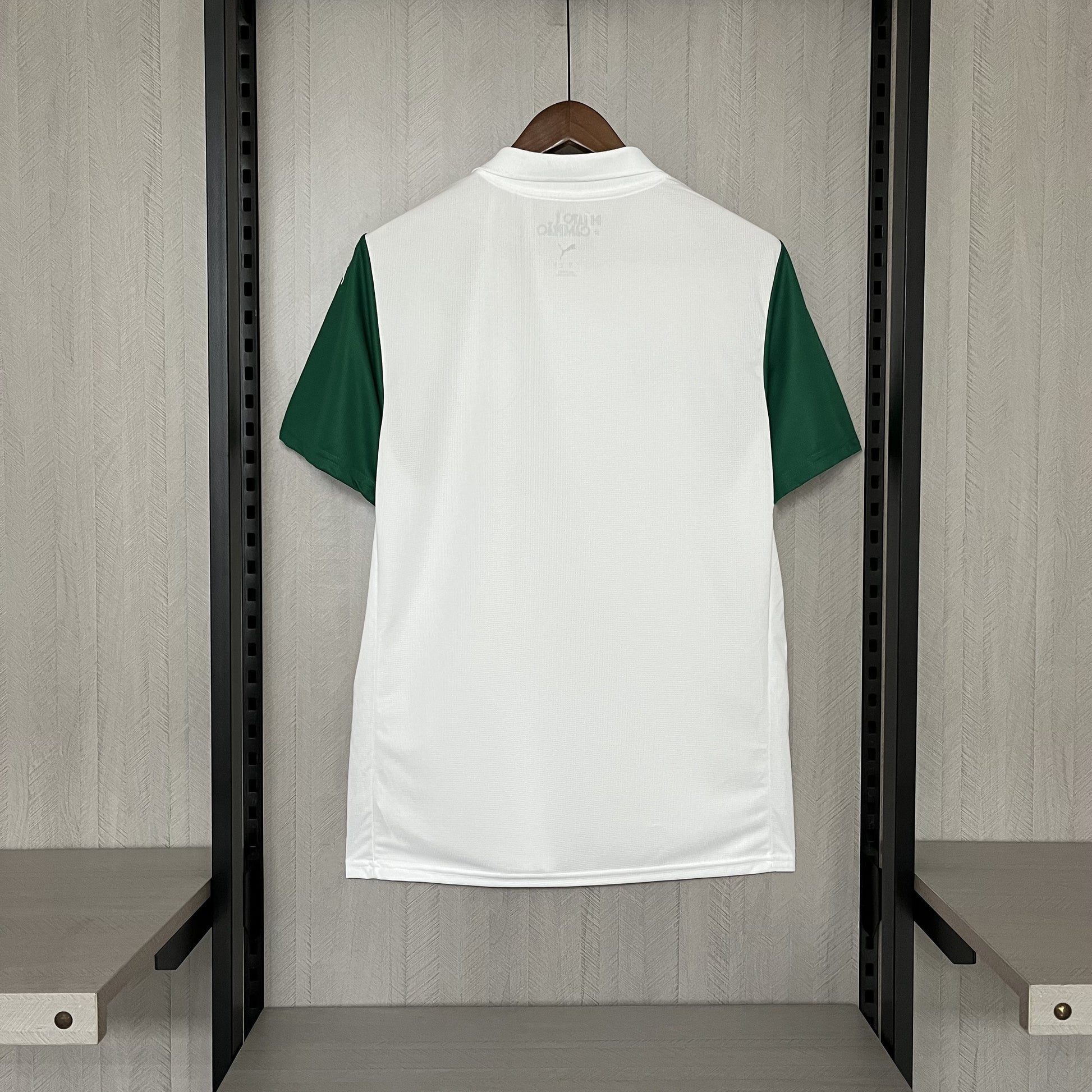 Camisa Palmeiras 25/26