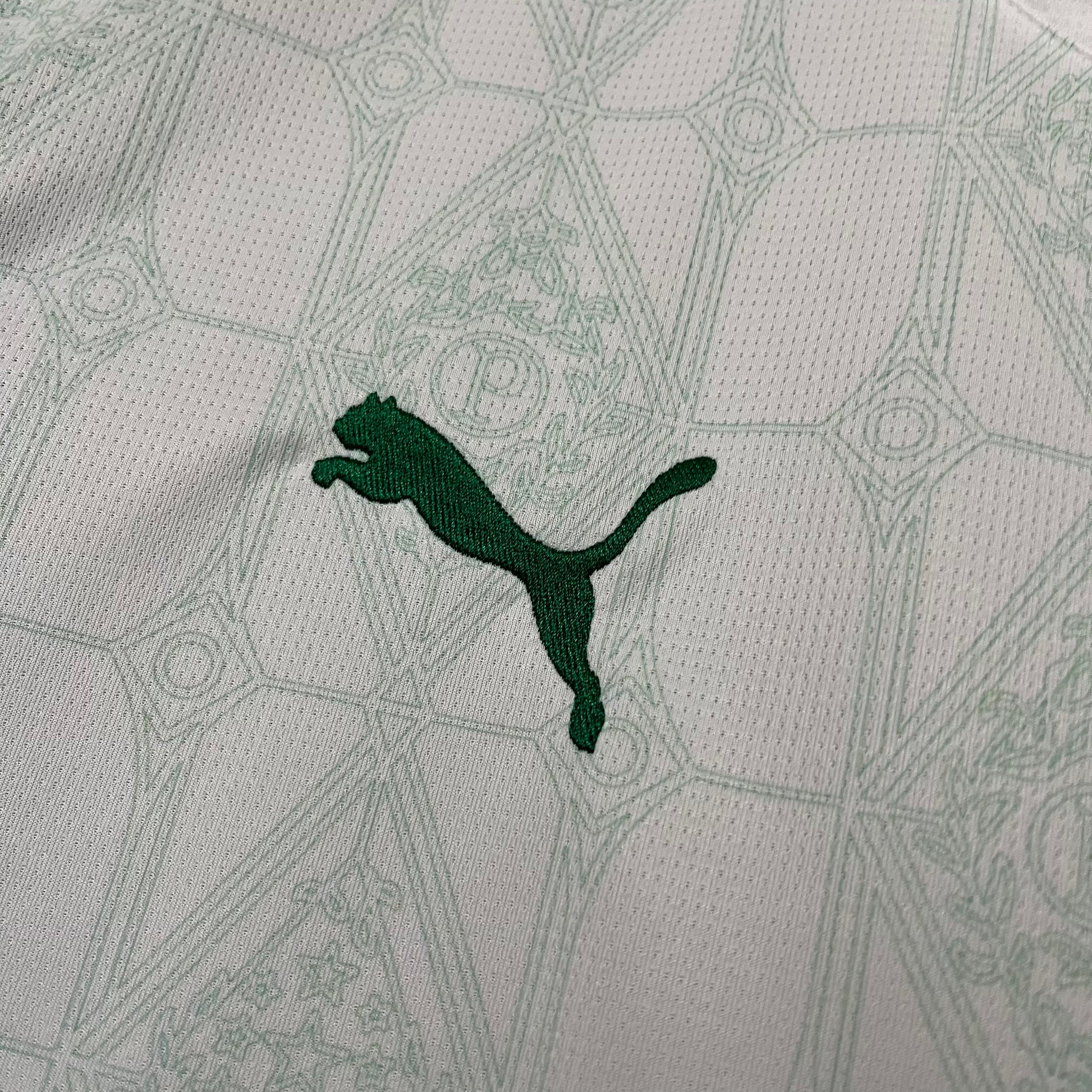 Camisa Palmeiras 25/26